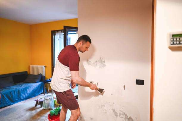 Best Residential Mold Removal  in Borden, IN