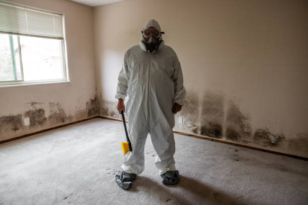 Best Mold Cleaning Services  in Borden, IN